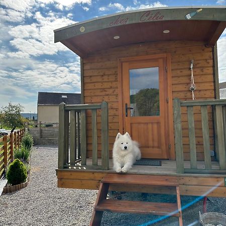 Chez Celia, Roulotte En Champagne Villa Fleury-la-Riviere Eksteriør billede